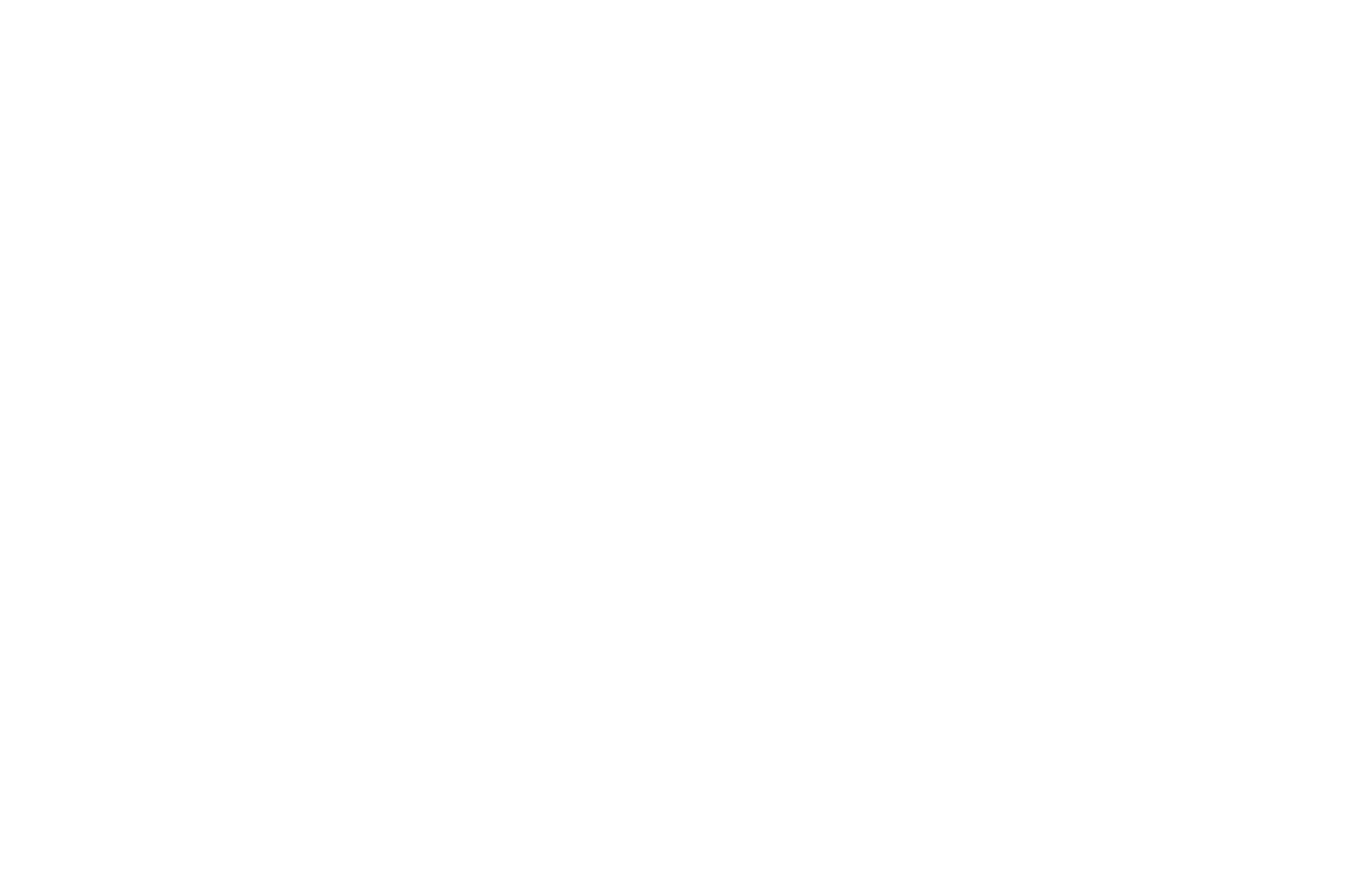Manakin Design SmartHydro Logo